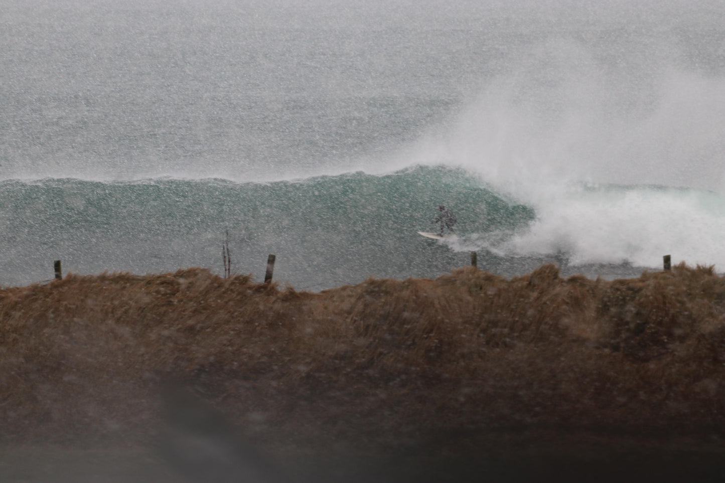 surf cam - Månetlig abonnement